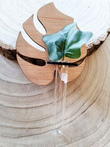 Sticklingsvas: Monstera [trä]