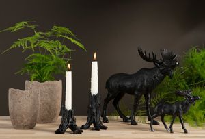 Ljustake stock - Liten