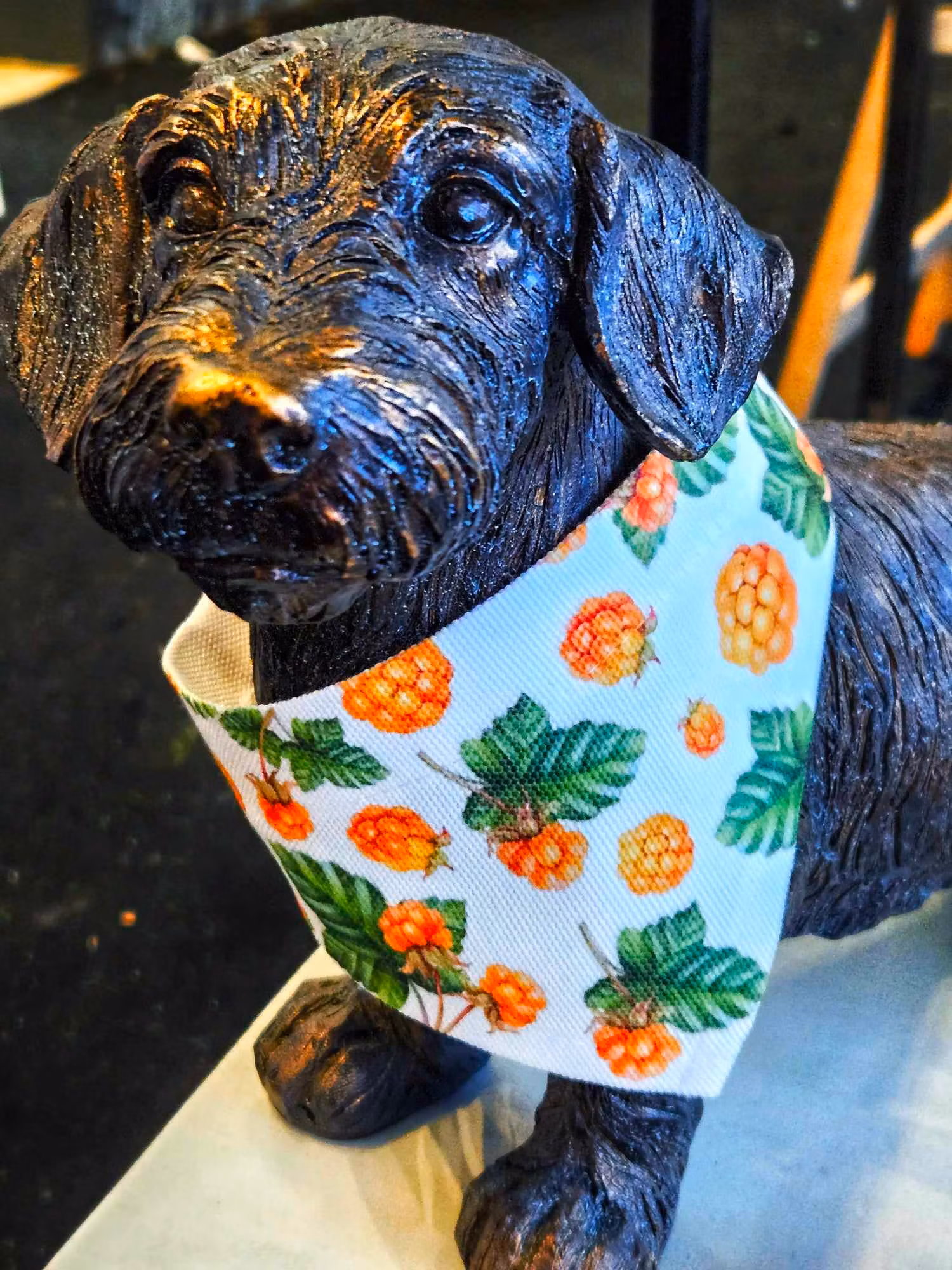 Hundscarf: Hjortron