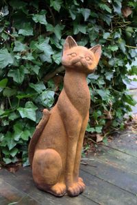 Katt: Rost
