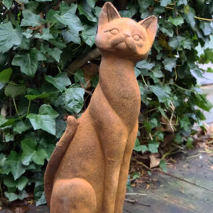 Katt: Rost