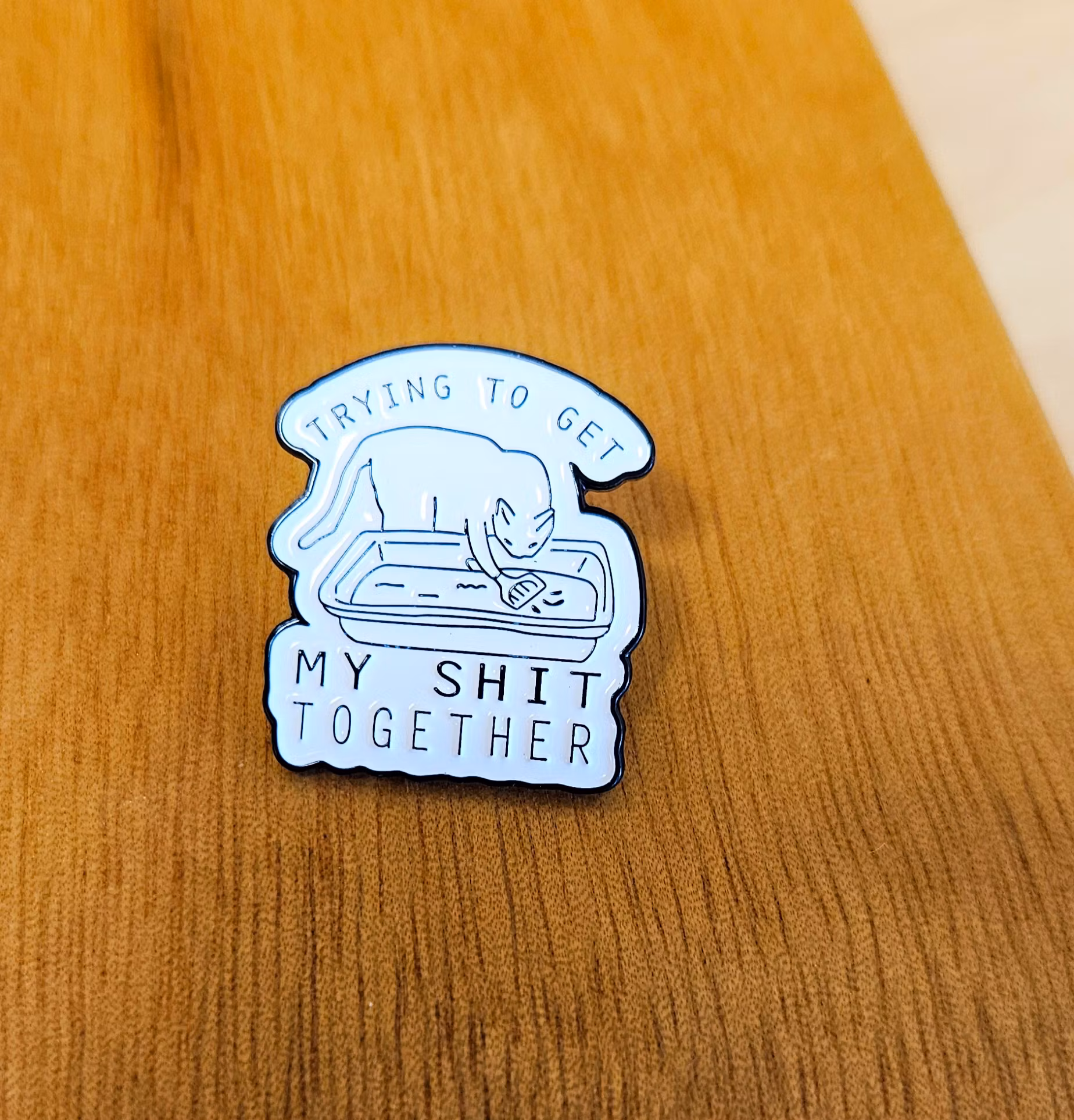 Pin: Get my shit together
