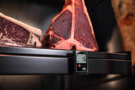 Testo 174H - temperatur/RF-logger