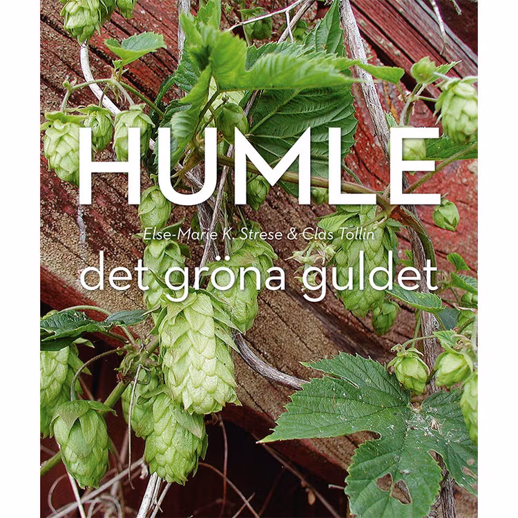 Humle : Det gröna guldet