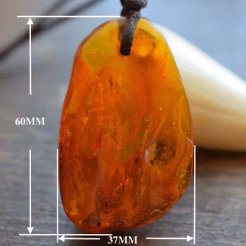 Natural baltic amber pendant with insect 14g
