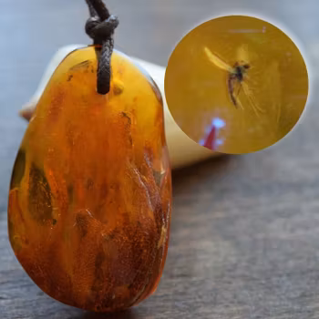 Natural baltic amber pendant with insect 14g