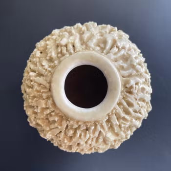 Gunnar Nylund Hedgehoge Vase Chamotte, Rorstrand, Rörstrand 40-60s Sweden #1463