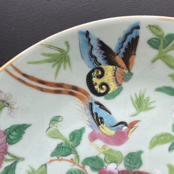 Chinese antique celadon canton butterfly plate, 19th c #1570