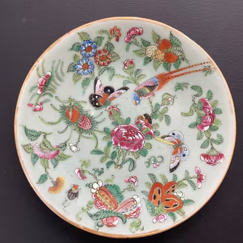 Chinese antique celadon canton butterfly and bird plate, 19th c #1708
