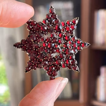 Antique Victorian jewelry Garnet Star Burst Pin Brooch #2007