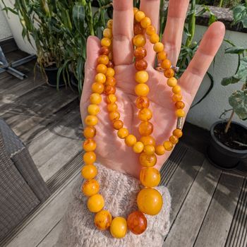 Antique Natural Amber Necklace Baltic Amber Egg Yolk Butterscotch 39g #2613