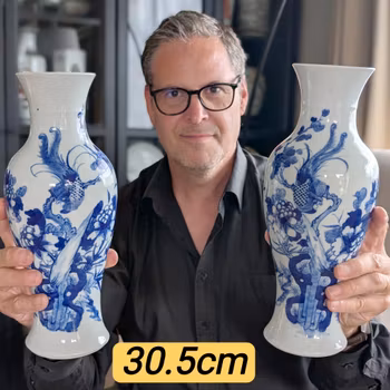 A pair of antique Chinese vases with phoenix decoration, 19th c #2956, 2957