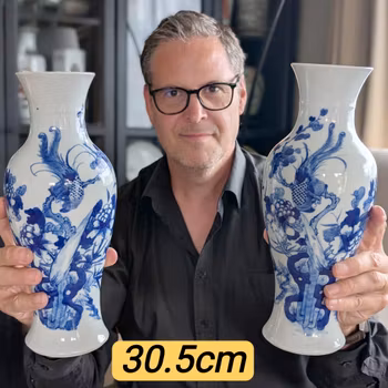 A pair of antique Chinese vases with phoenix decoration, 19th c #2956, 2957