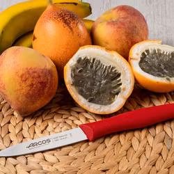 Arcos Nova Skalkniv 10 cm - Röd