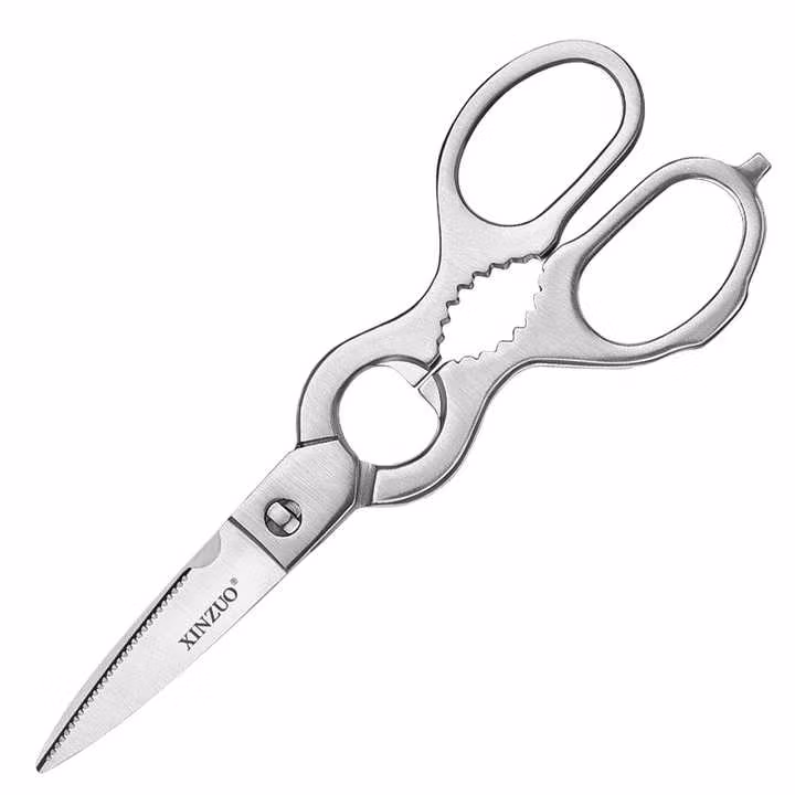 Due Cigni kitchen scissors divisible 21cm steel