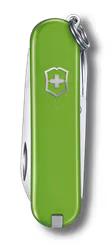 Victorinox Classic SD Smashed Avocado
