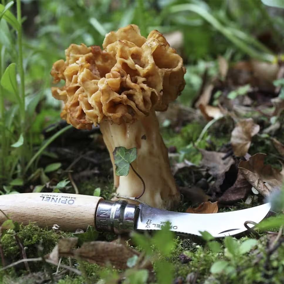 Opinel Svampkniv