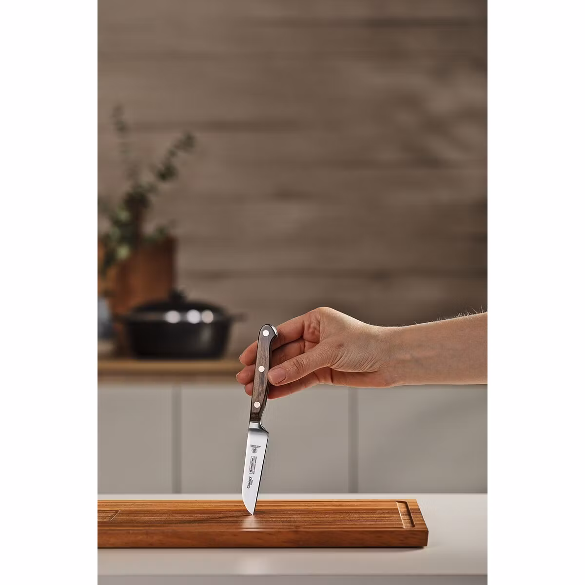 Tramontina Century Wood Skalkniv Platt 8 cm