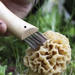 Opinel Svampkniv