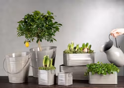 Kruka Kvadrat Greige Stl M