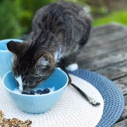 Tellus en rund tablett från Noble house. Färg Ljus aqua.