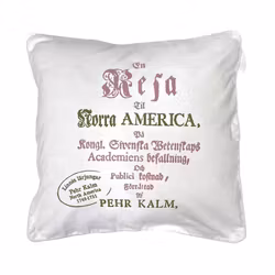 Linné ett kuddfodral i bomull. Färg: Vitt med ett tryck i rosa och grönt.