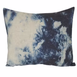 Future Mirror Kuddfodral, art.nr: N891730-83. Färg: Blå och vit.