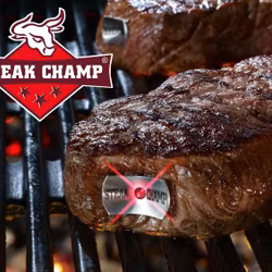 SteakChamp 3 color stek/köttermometer