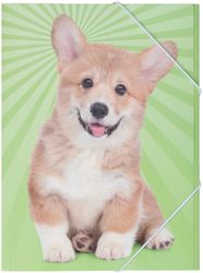 Dog en gummibandsmapp i grönt med med en söt hund i A4 storlek från Hedlundgruppen, mappen är FSC godkänd.