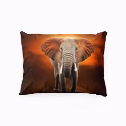 Elephant ett örngott i bomullssatin med en elefant med en solnedgång i bakgrunden i mått 50 x 60 cm, från Indusia design