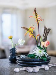 Cult design Floral art färg svart