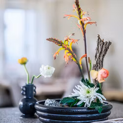 Cult design Floral art färg svart