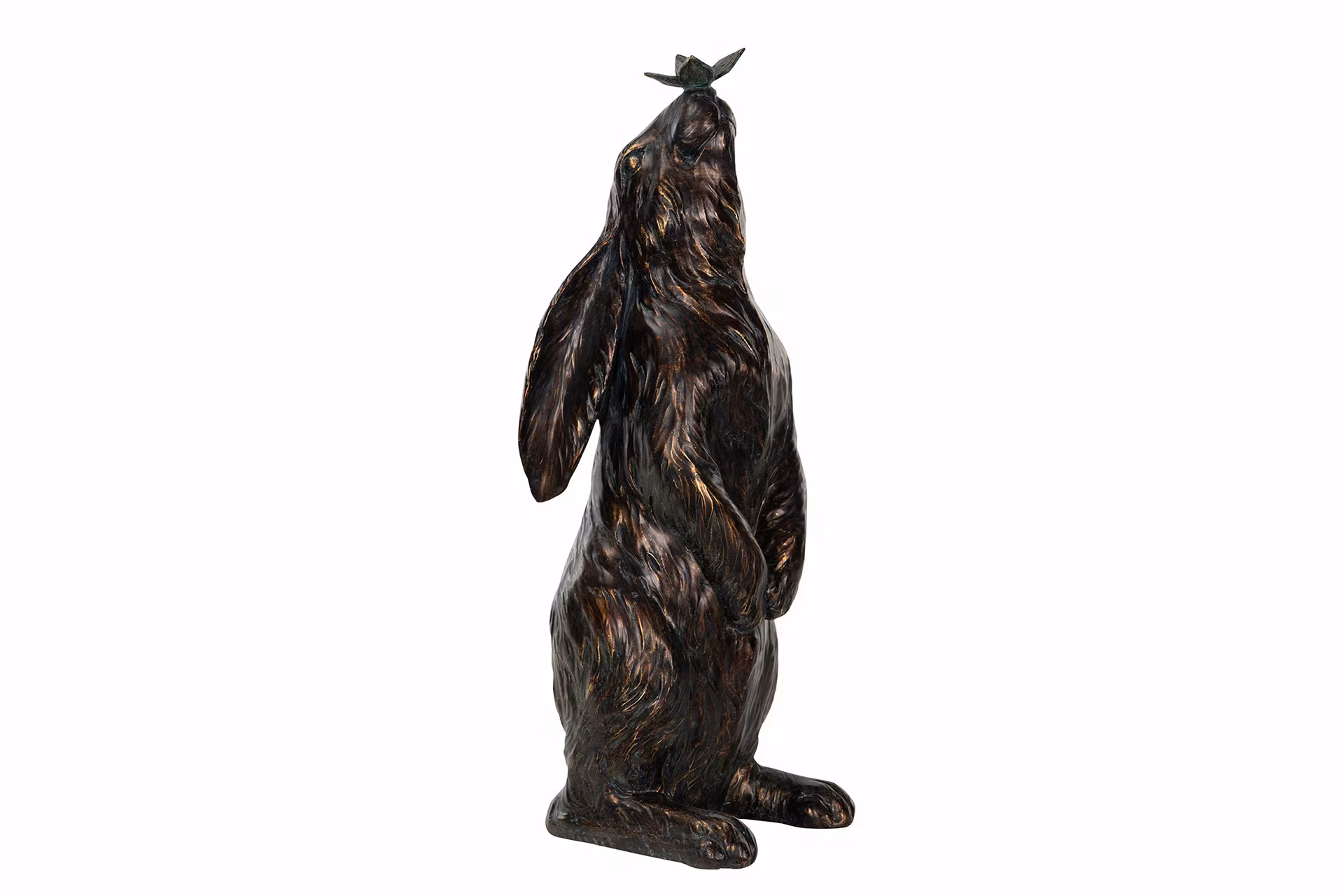 Dekoration Hare Fjäril