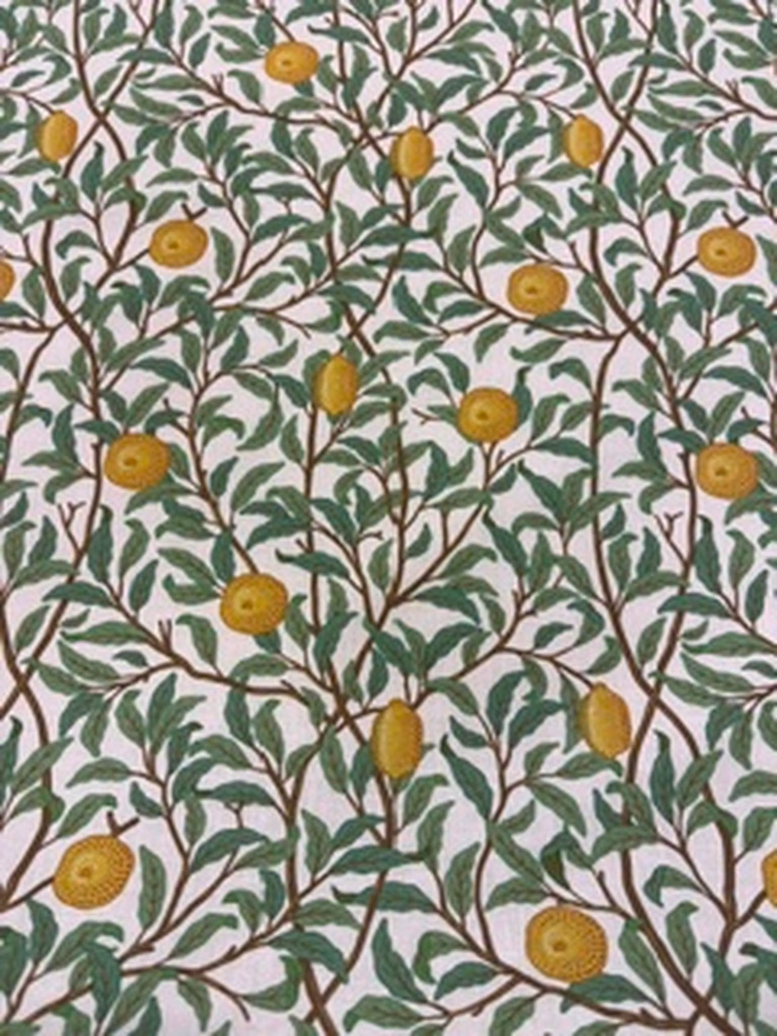 Citrontyg