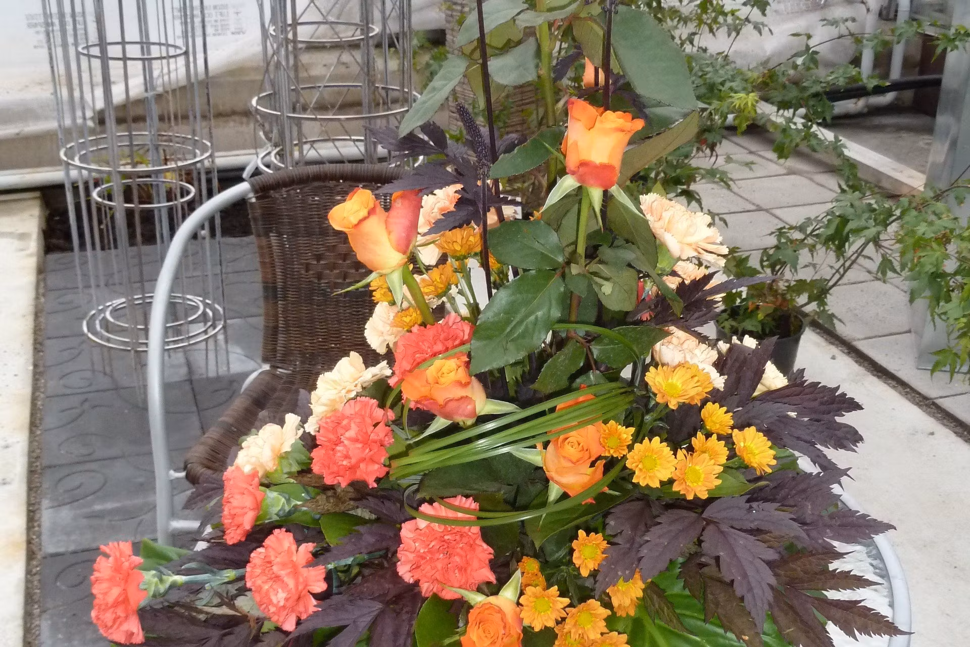 Annicas Handelsträdgård > Snittblommor
