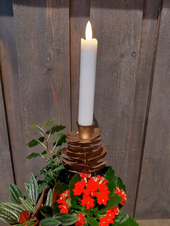 Ljushållare Kotte Antik Mässing