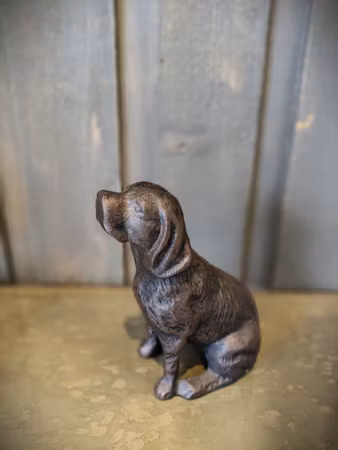 Järnhund