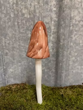 Dekorationssvamp