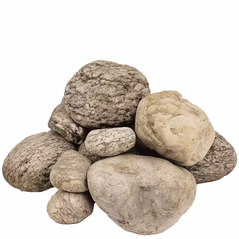 Akvarieimporten i Skåne AB > Akvariestenar