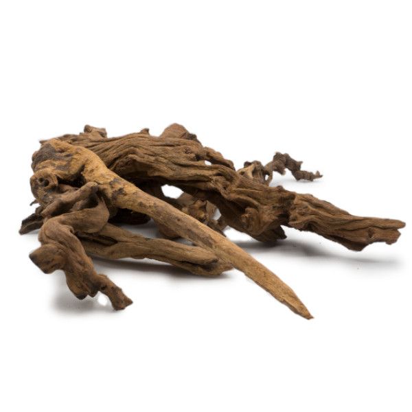 Mangroverot Medium 23-30 cm