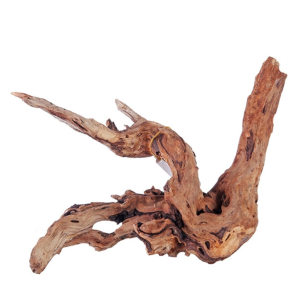 Mangroverot Medium 23-30 cm