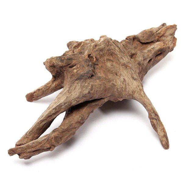 Mangroverot Medium 23-30 cm