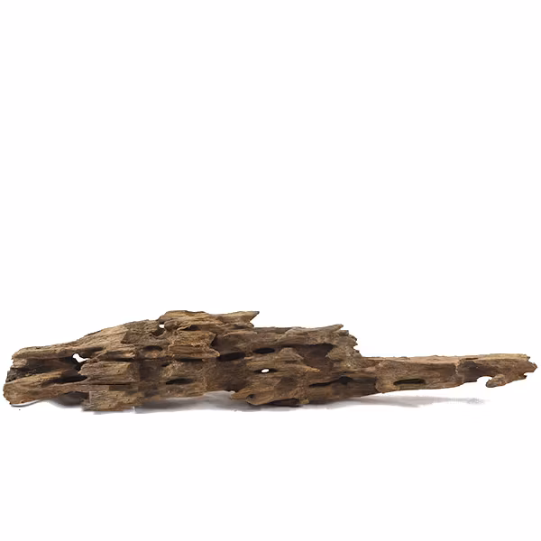 Honeycombed - Mangroverot XXXL 60-80 cm