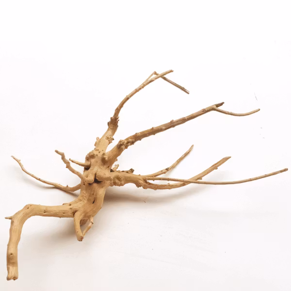 Driftwood trädrot - Small