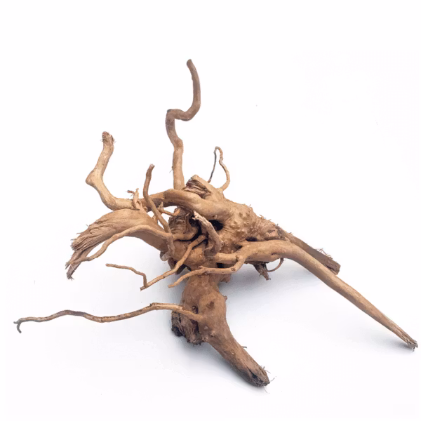 Driftwood trädrot - Small