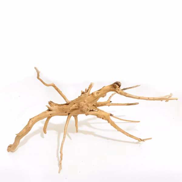 Driftwood trädrot - Small
