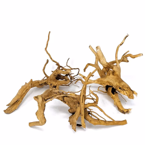 Driftwood trädrot - Small