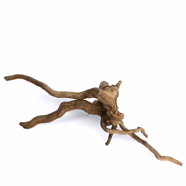 Driftwood trädrot - Small