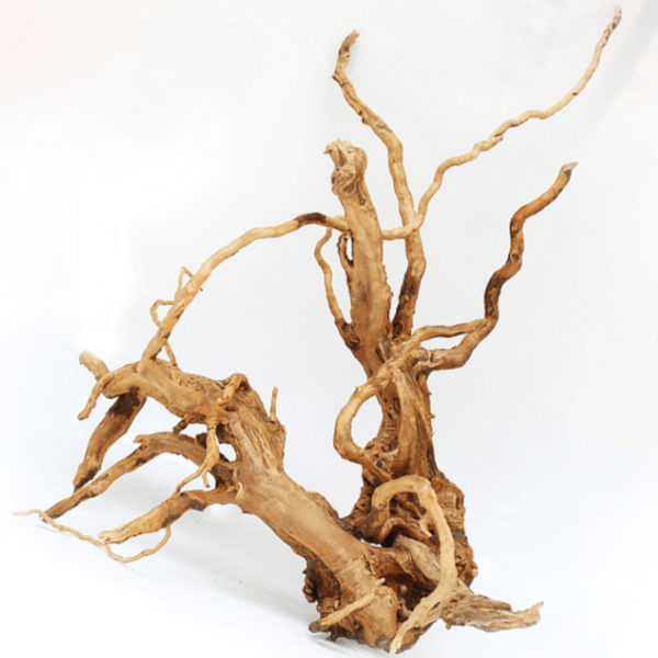 Driftwood trädrot - Large