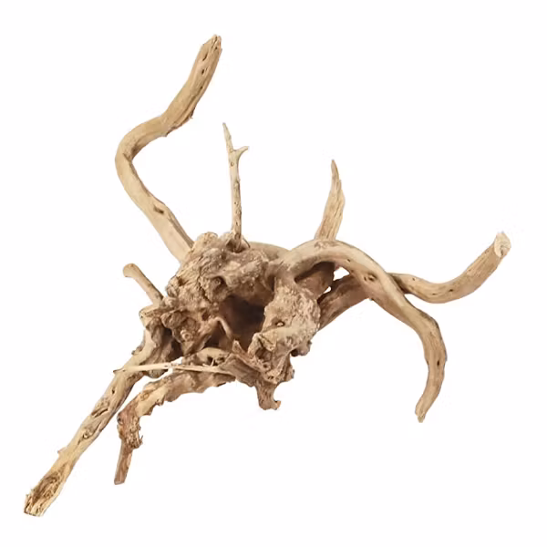 Driftwood trädrot - XL